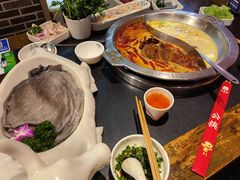 -大龙燚火锅(春熙店)