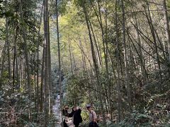 -午潮山国家森林公园