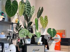 -Dogi&kiki Coffee(中心商务大厦店)