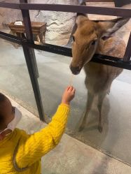 -酷嗒动物文化乐园(cutezoo西溪乐天城店)