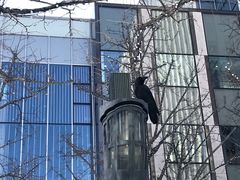 -北海道厅旧本厅舍(旧本庁舎)