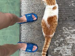 -崇阳三特浪口温泉