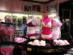 -Victoria's Secret(苏州中心全品类店)
