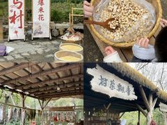 -乌村