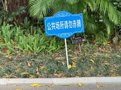 -南宁南湖公园