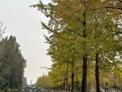 -成都市活水公园