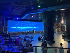 -华夏文旅海洋公园