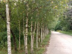 -青峰峡国家森林公园