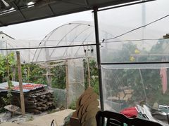 -马陆小张葡萄园农家乐