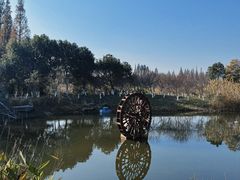 -长田漾湿地公园