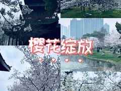 -堤角公园
