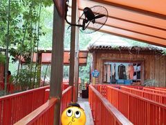 -郑州方特梦幻王国