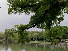 -江心屿景区