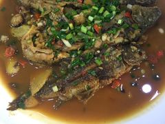 -全乐鱼馆·淳牌有机鱼直营店