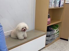 -瑞派康怡24h宠物医院·犬猫医疗中心·微创绝育(瑞景分院)