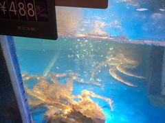 -徐记海鲜(曲江南湖店)