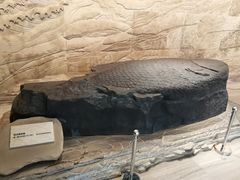 -白鹤梁水下博物馆