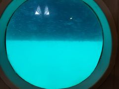 -白沙滩