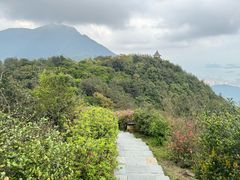 -梧桐山风景名胜区