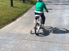 -春花秋色城市公园