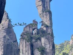 -三清山风景名胜区