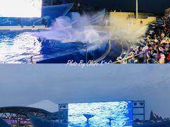 游乐设施-上海海昌海洋公园