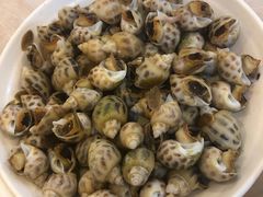 花螺-桥东喜碧海鲜街(水东街店)