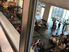 -厦门高崎国际机场-T3航站楼