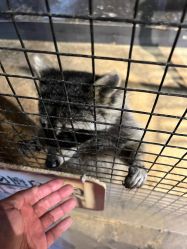 -酷嗒动物文化乐园(cutezoo西溪乐天城店)