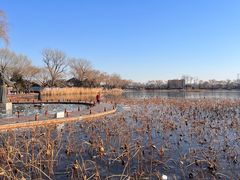 -护国寺小吃(新街口店)