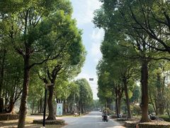 -上海多利农业发展有限公司