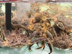 -万龙洲海鲜(大兴绿地缤纷城店)