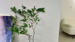 -YCai简薇美甲美睫美妆