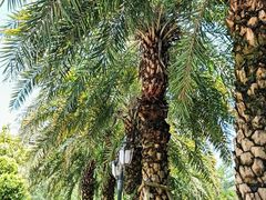 -恒大世纪梦幻城