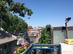 -Sirena海妖日咖夜酒