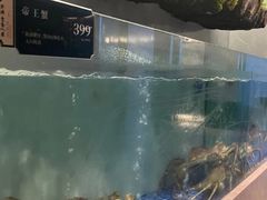 -外滩·云南人家(昆明旗舰店)