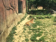 -无锡动物园·太湖欢乐园