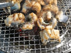 吉力烤鳗鱼-吉力烤鳗