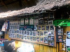 -Jungle Kitchen