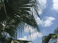 -黄金海岸水上乐园