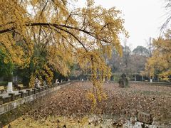 -四川大学(华西校区)