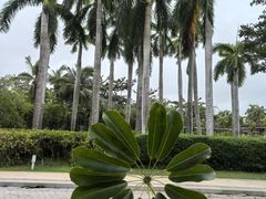 -三亚海棠湾万丽度假酒店