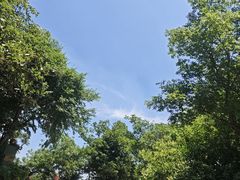 -紫金山山顶公园