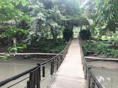-天赐温泉