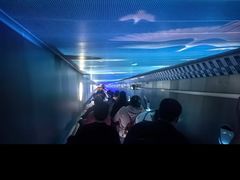 -白鹤梁水下博物馆