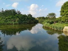 -塘沽森林公园