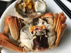 -小陆莲花蟹园农家乐(莲花岛店)