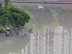 -苏州河梦清园环保主题公园