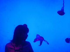 -沈阳海洋探索中心