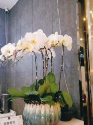 -意廊 Hair Salon